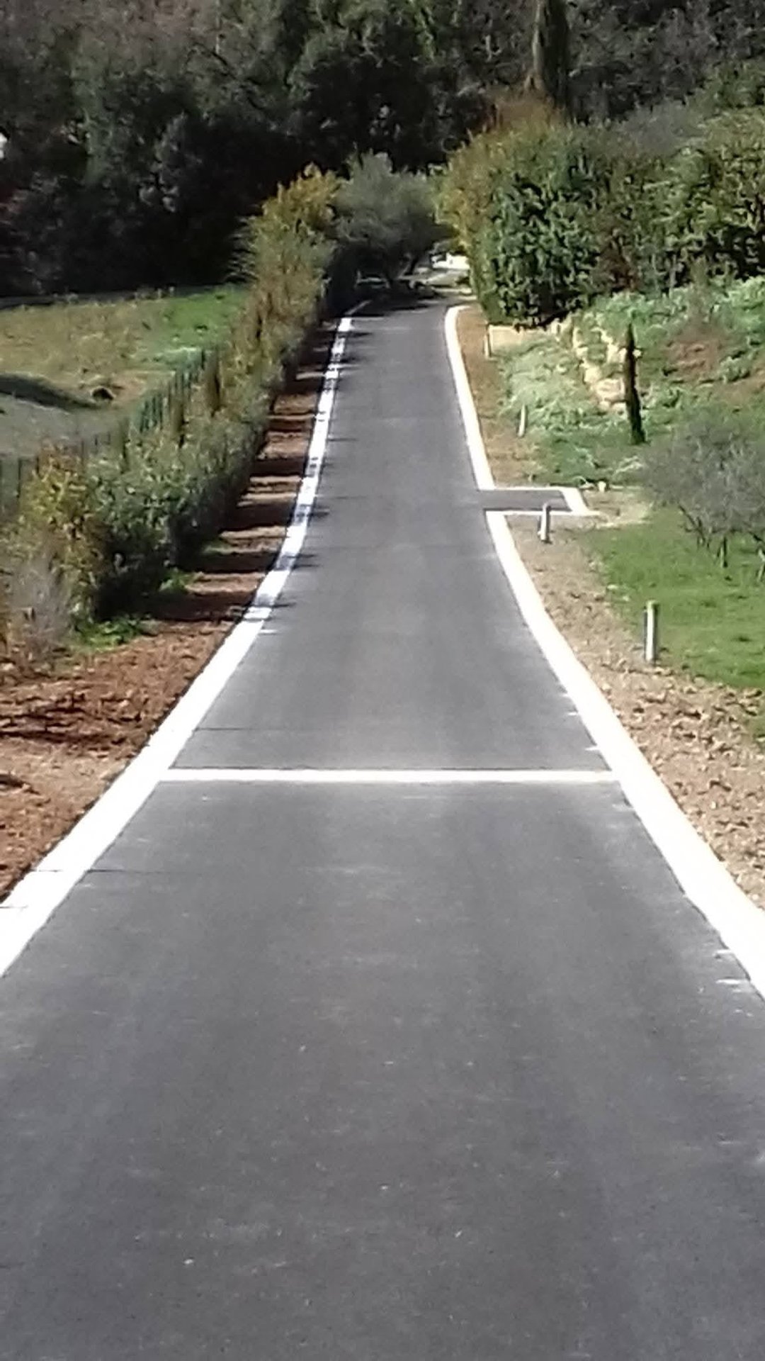 Allée privée en béton désactivé avec bordures blanches, entièrement terminée – après travaux